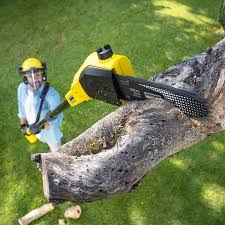 Best Emergency Tree Removal  in Martinsville, NJ