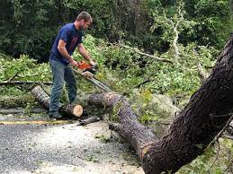 Best Utility Line Clearance  in Martinsville, NJ